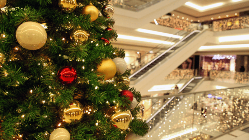 IMG BORGES VALENDO (8)